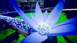 Shimmer by Lasi Interactive